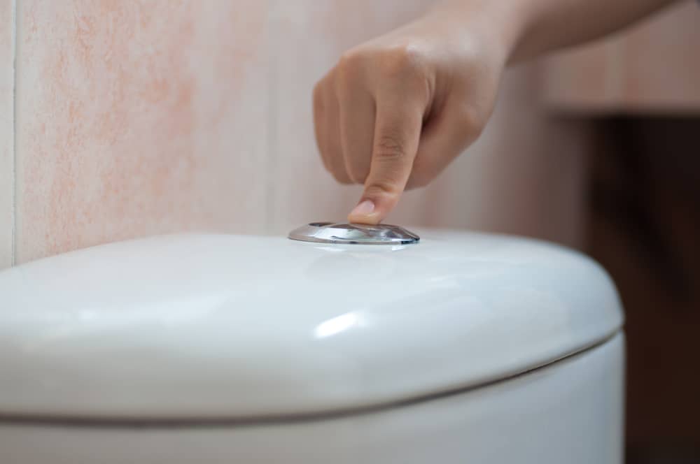 Faulty Flush Button Or Handle