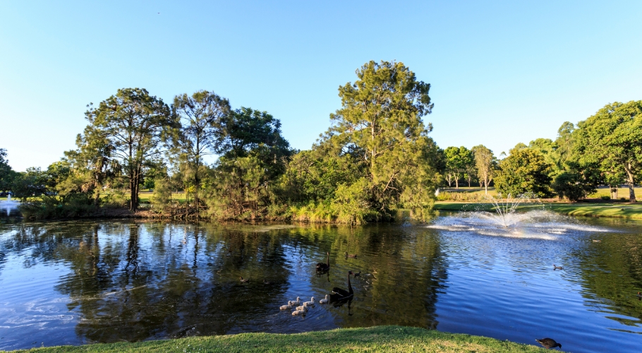 gympie-1